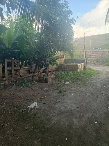 TERRENO PRINCIPAL DA COSTA