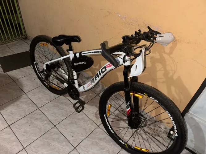 raio aro 29