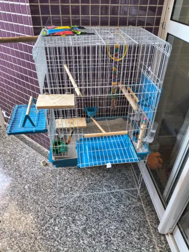 Gaiola para Calopsita