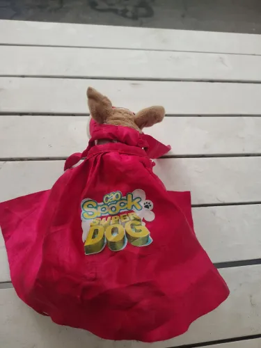 Cão Spock Super Dog Candice