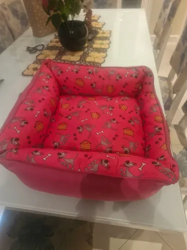 Caminha para pets