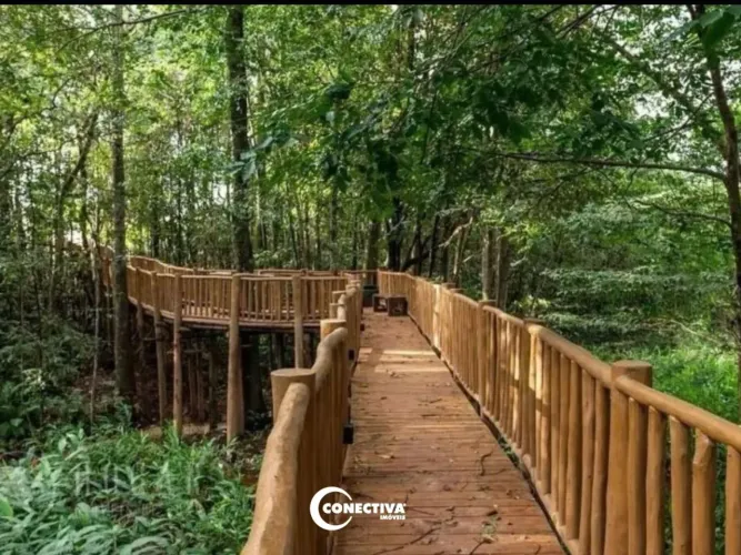 Lote Residencial Parqville Quaresmeira - Trindade - GO