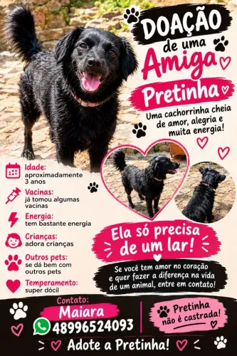 Doação 