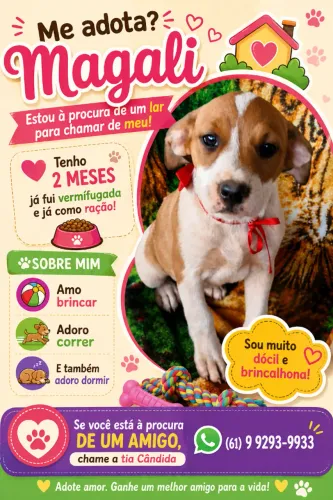 Adoção Responsável 