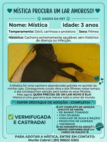 ADOÇÃO RESPONSÁVEL!