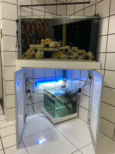 DESAPEGO: AQUARIO 500 LITROS COM MOVEL