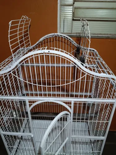 Gaiola viveiro para aves grandes - papagaio, cacatua, arara