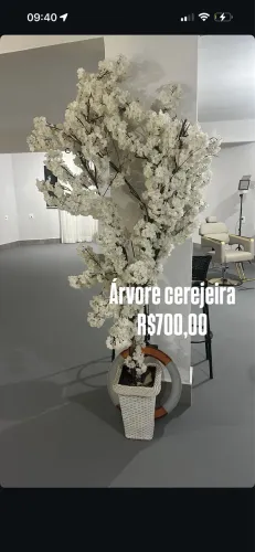 Árvore cerejeira