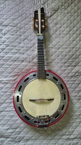 Banjo Rogério Santos