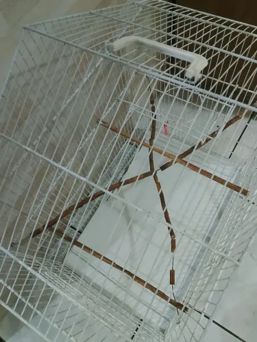 Gaiola para calopsita