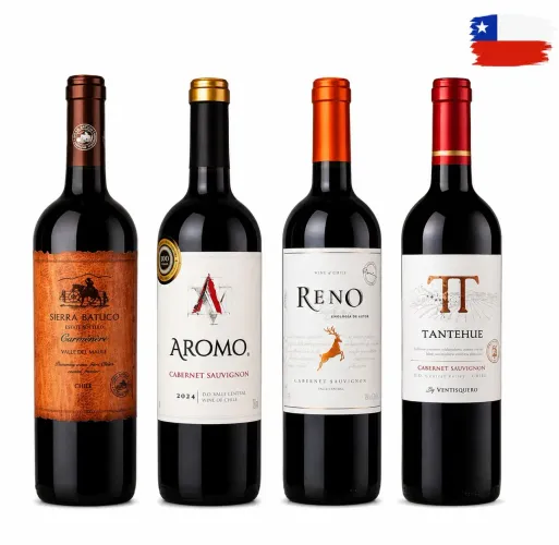Kit de vinhos CHILENOS tintos (oferta)