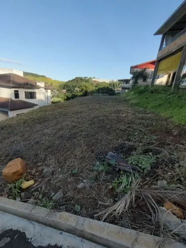 Oportunidade Única 
