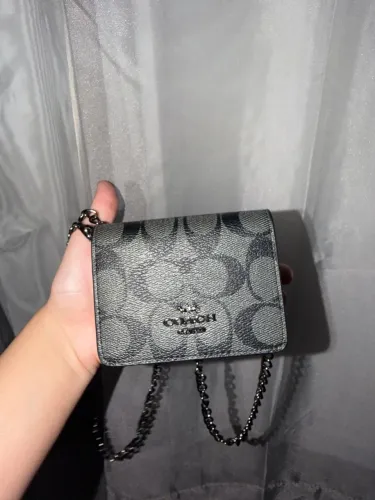 Mini bag coach