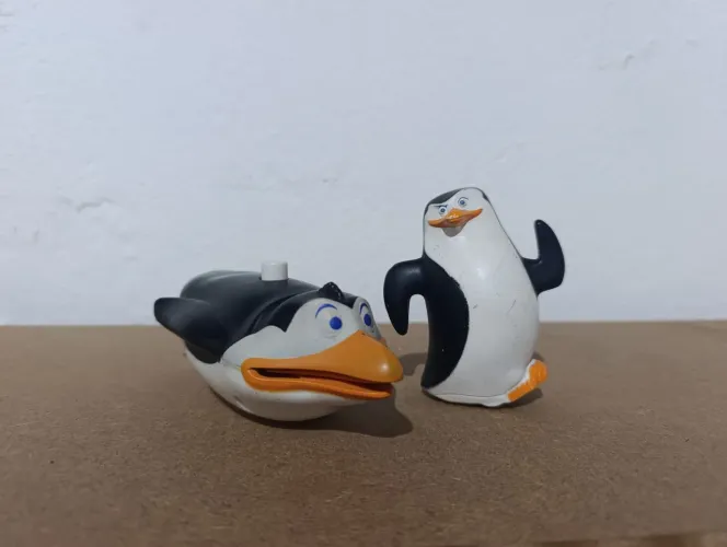 Lote pinguins de Madagascar