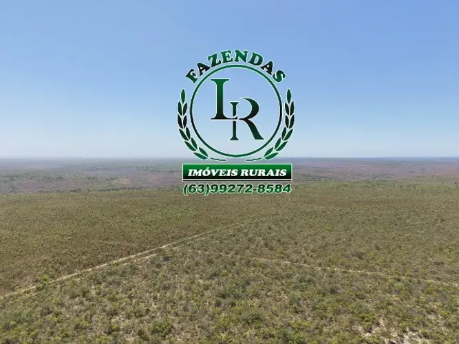 Fazenda Dupla Aptidão Bruta 997 Hectares Tocantins