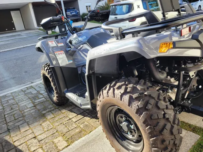 Quadriciclo Goes Terrox 400l
