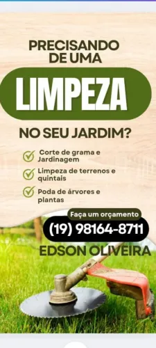 Serviço de limpeza de jardim e outros