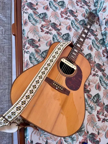 Violão Folk Giannini AWGS300 (1979)