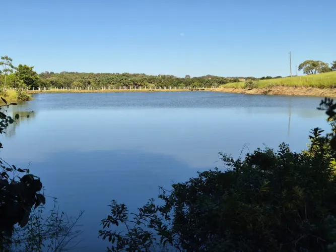 Fazenda à Venda no município de Piracanjuba/GO - 6,26 Alqueires, Rica em Água e Pronta par