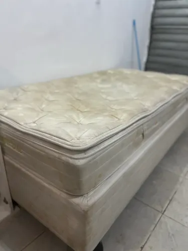 Maca de solteiro a venda 