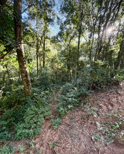 Vendo 8500m2 Terreno em Mairiporã