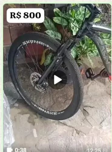 Bicicleta
