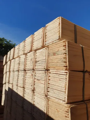 Forro de Pinus natural 