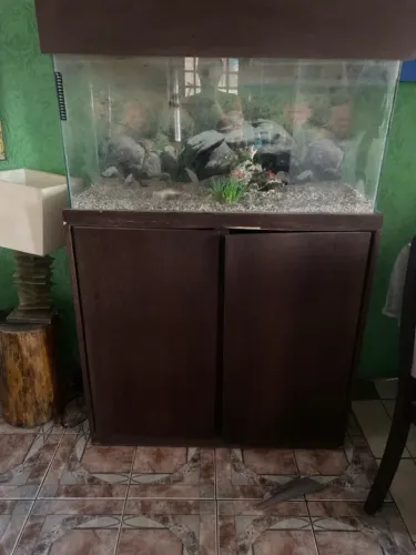 Aquário de água doce com armário completo 200 litros 
