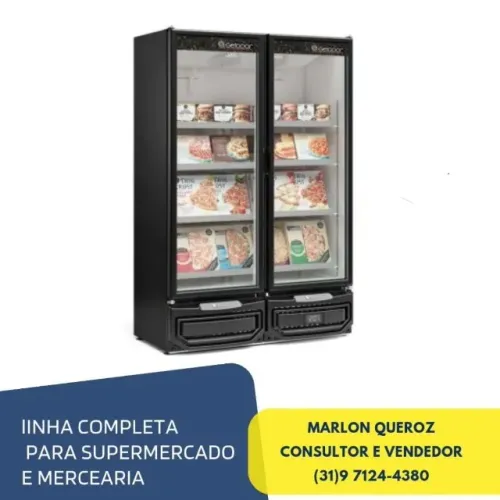 Freezer 2 Portas Gelopar Novo 220v