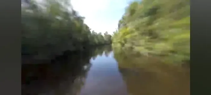 900 alqueires no Marajo com 50 mil pés de açaí