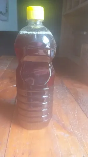 Mel de abelhas direito do apicultor 