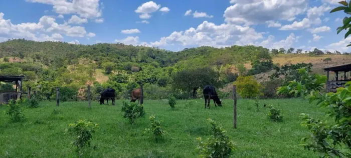 Vendo chácara de 10 hectares em Planaltina GO