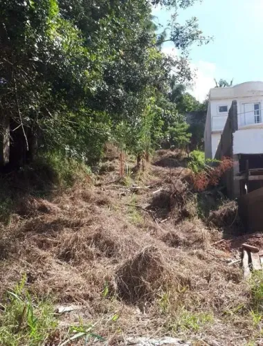 Lote em Rua Maracatu - Granja Viana - Cotia/SP