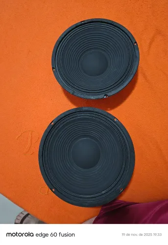 Par alto-falante 10""