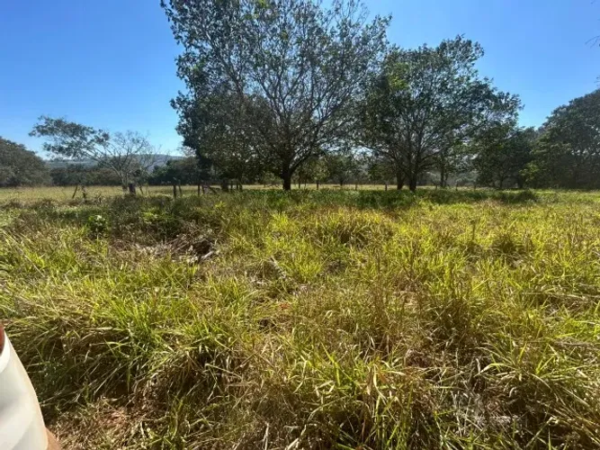 Fazenda 5 alqueires Hidrolandia