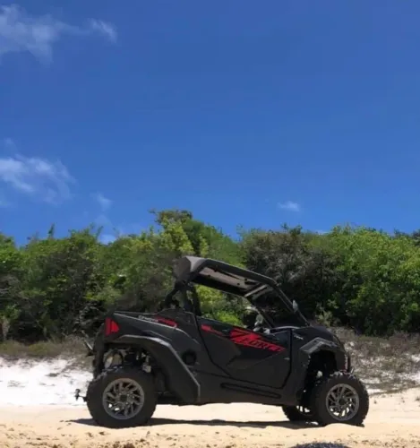 UTV ZFORCE 800 TRAILL