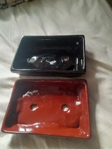 Vasos para Bonsai de Cerâmica - Novos!