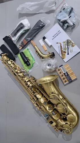 Saxofone alto Elegante escovado de fábrica 
