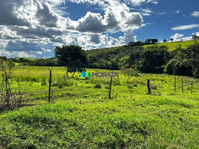 FAZENDA À VENDA - 125,38 HECTARES - SÃO TIAGO (MG)
