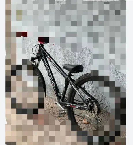 Quadro Venzo Fx3