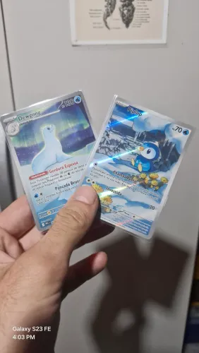 Dewgong e piplup