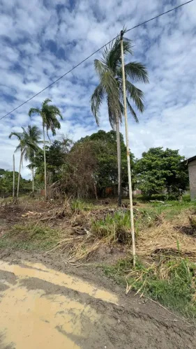 Terreno 10x40 na Estrada Nova