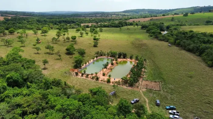 CHÁCARA EM SANTA CRUZ DE GOIÁS - 2.5 ALQUEIRES / RICA EM ÁGUA