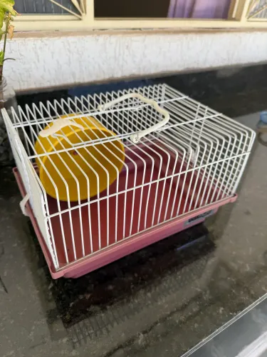 Casa de Hamster Pequena