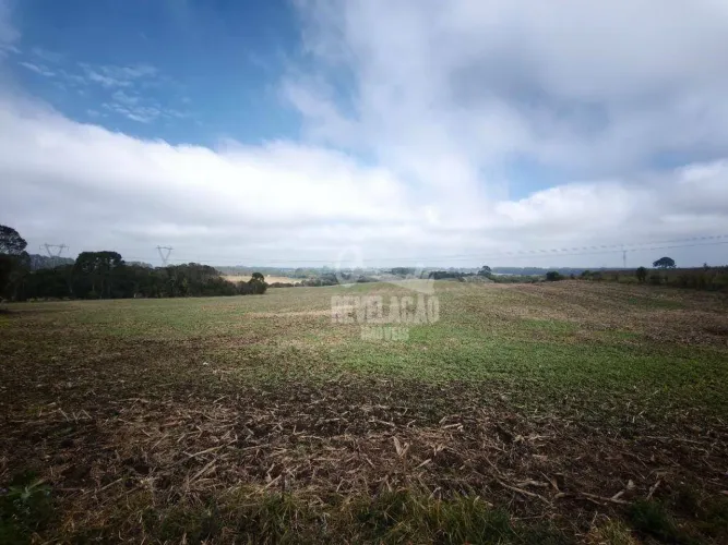 Área com 25.000 m² na Rua Antônio Singer, Campo Largo da Roseira