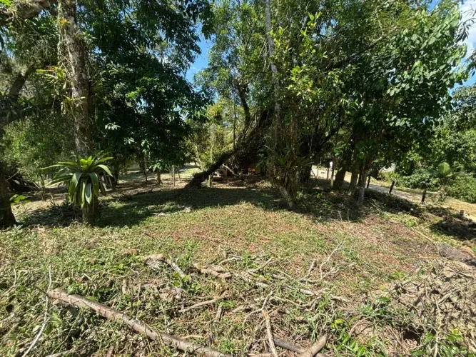 Excelente Terreno Rural para Casa de Campo em Santo Amaro da Imperatriz/SC!