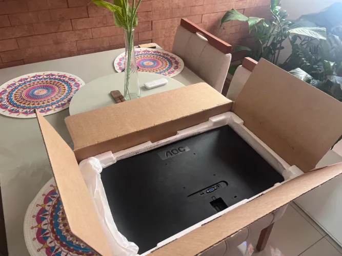 Monitor AOC
