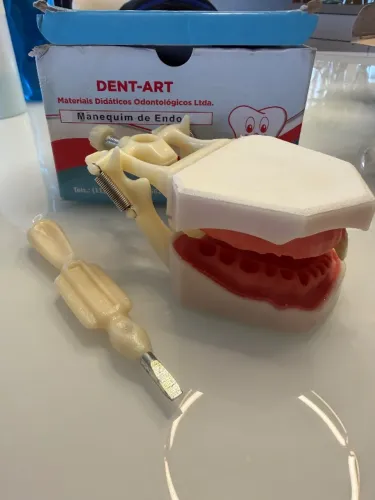 Manequins Odontológicos (Endodontia, Periodontia e Dentística)