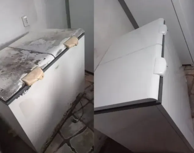 adegas e freezers envelopamento