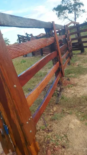Fazenda 30 hectares Arinos - MG toda formada